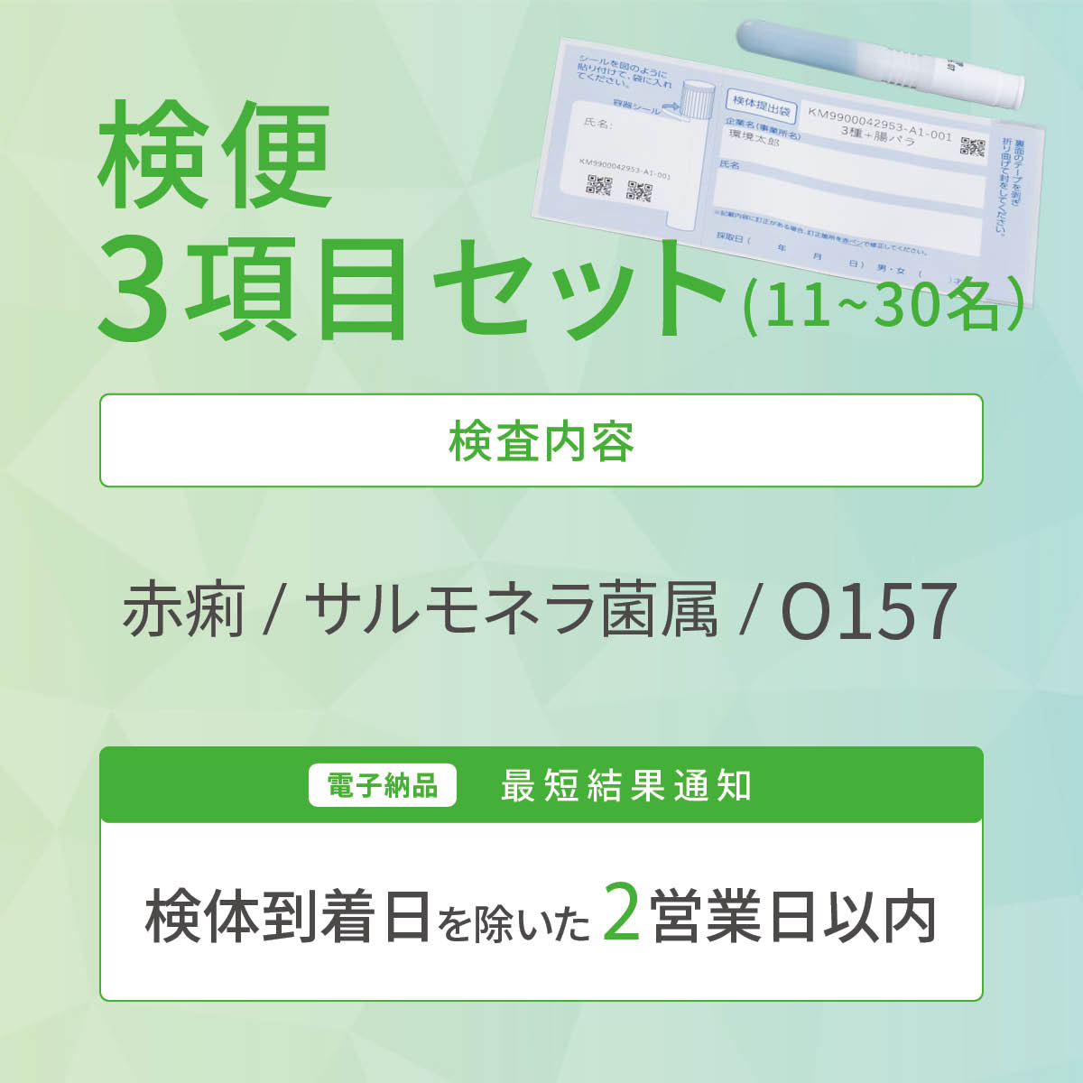 検便3項目セット（11〜30名）