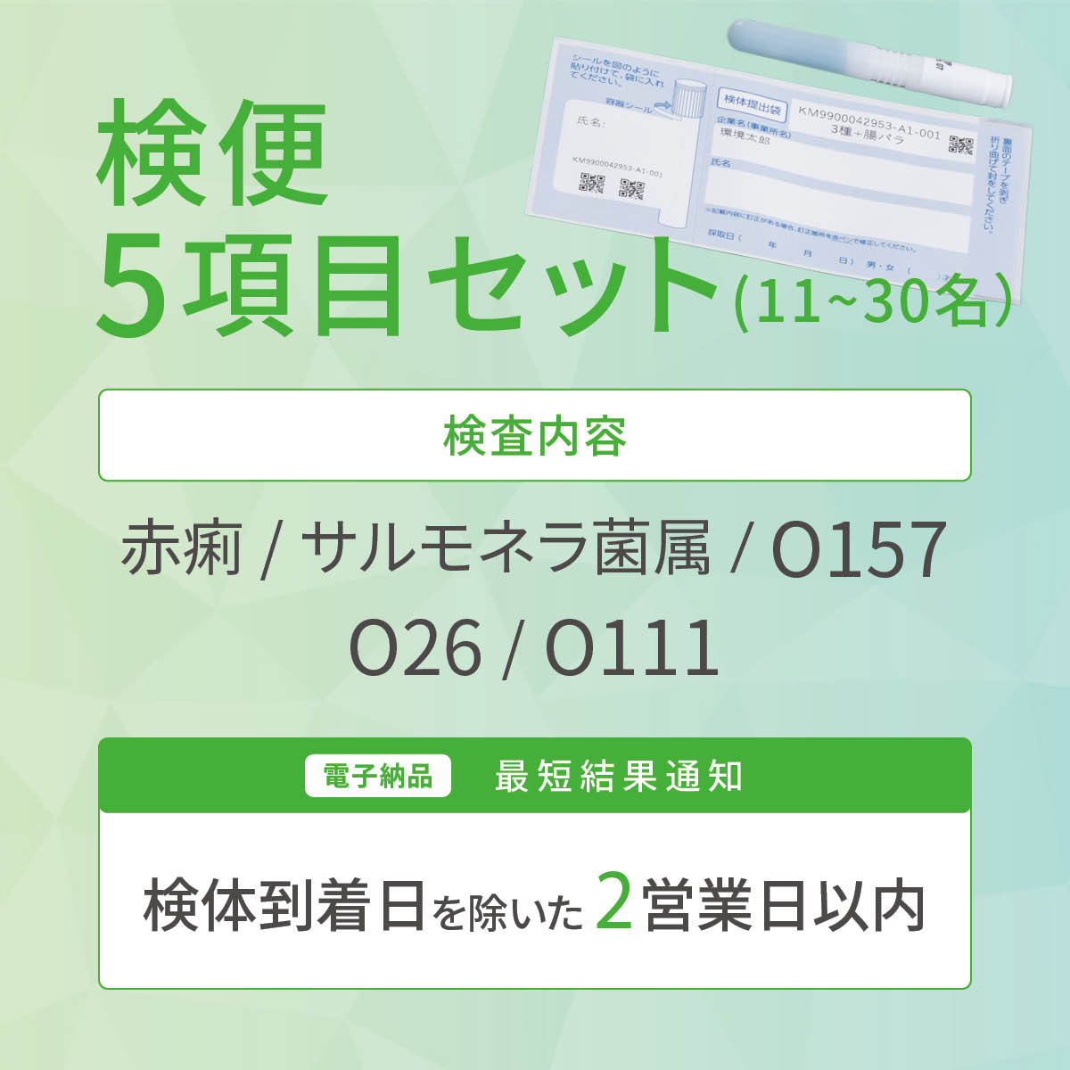 検便5項目セット（11〜30名）