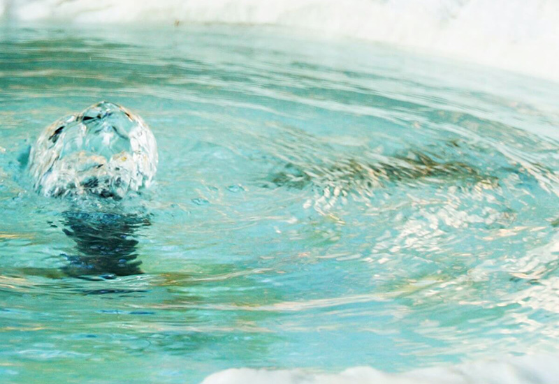 水道事業や浄水場の作業に携わる場合の保菌検査は3項目でいいですか？